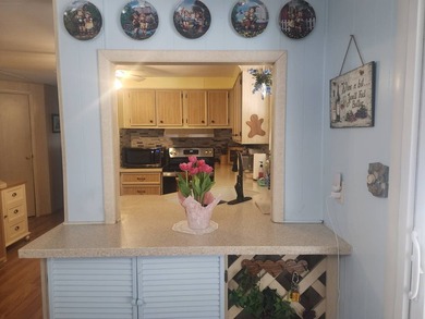 Welcome to this charming manufactured double-wide in the very - photo 6