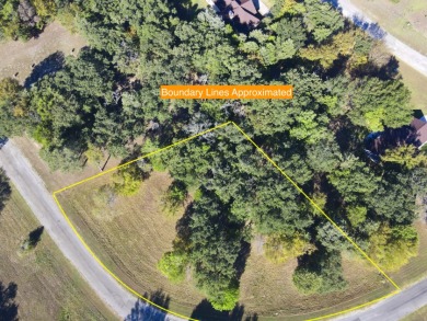 Off Water Lake lot with Hugh Shade Tree Canopy - photo 17