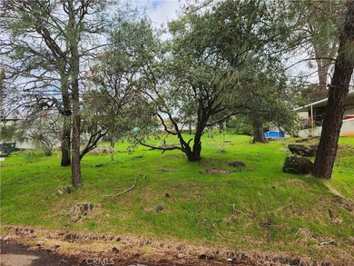 Beautiful lot located in the desirable Kelly Ridge area of - photo 2