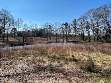 (private lake, pond, coastal) Acreage For Sale in Sandy Hook Mississippi