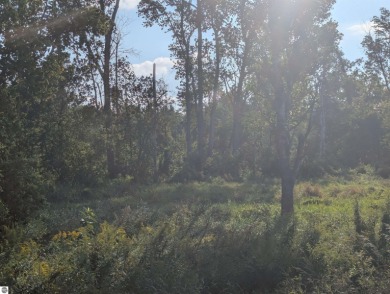 Lake Huron - Arenac County Acreage For Sale in Tawas City Michigan