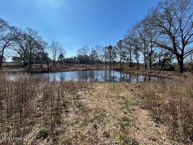Fantastic 91 acre property in Sandy Hook, MS offering the - photo 2