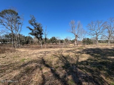 Fantastic 91 acre property in Sandy Hook, MS offering the - photo 3