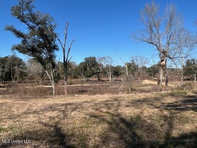 Fantastic 91 acre property in Sandy Hook, MS offering the - photo 4