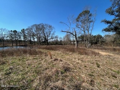 Fantastic 91 acre property in Sandy Hook, MS offering the - photo 6