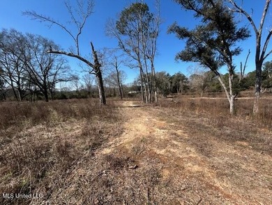 Fantastic 91 acre property in Sandy Hook, MS offering the - photo 7