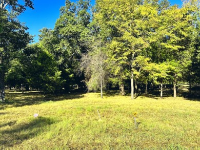 Off Water Lake lot with Hugh Shade Tree Canopy - photo 20