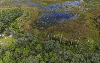 (private lake, pond, creek) Lot For Sale in Satsuma Florida