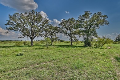 (private lake, pond, creek) Acreage For Sale in Smithville Texas
