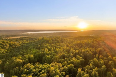 Lake Acreage For Sale in Rapid City, Michigan