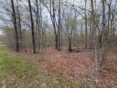 Lake Lot For Sale in Monterey, Tennessee