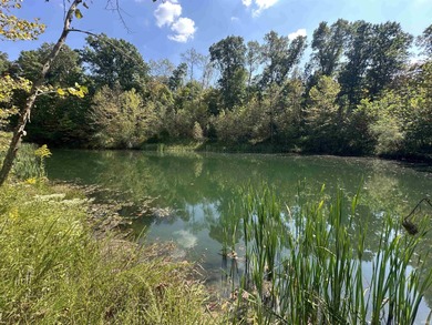 (private lake, pond, creek) Acreage For Sale in Laurel Indiana