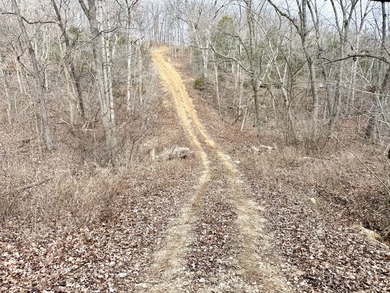 What a great Morgan county hunting farm close to Lake of the - photo 17