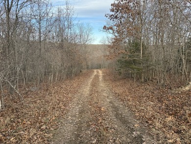 What a great Morgan county hunting farm close to Lake of the - photo 18