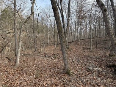 What a great Morgan county hunting farm close to Lake of the - photo 23