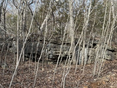 What a great Morgan county hunting farm close to Lake of the - photo 27