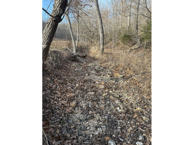 What a great Morgan county hunting farm close to Lake of the - photo 31