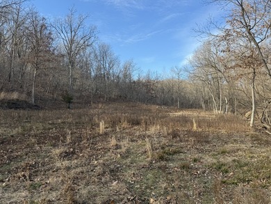 What a great Morgan county hunting farm close to Lake of the - photo 32