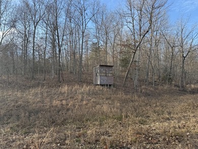 What a great Morgan county hunting farm close to Lake of the - photo 33