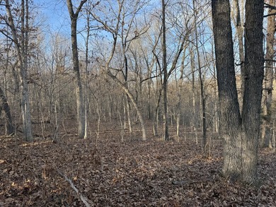 What a great Morgan county hunting farm close to Lake of the - photo 36