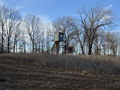 What a great Morgan county hunting farm close to Lake of the - photo 37