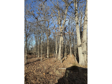 What a great Morgan county hunting farm close to Lake of the - photo 39