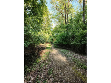 Beautifully situated on a corner lot in a desirable neighborhood - photo 40