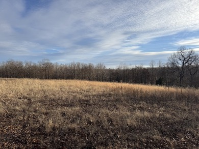 What a great Morgan county hunting farm close to Lake of the - photo 40