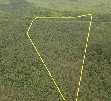 Remote, Quiet, Secluded and Convenient Hunting Land! Contiguous - photo 1
