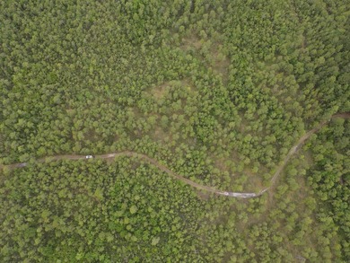 Remote, Quiet, Secluded and Convenient Hunting Land! Contiguous - photo 3