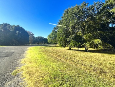 Off Water Lake lot with Hugh Shade Tree Canopy - photo 23
