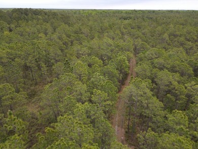 Remote, Quiet, Secluded and Convenient Hunting Land! Contiguous - photo 4