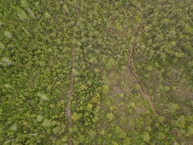 Remote, Quiet, Secluded and Convenient Hunting Land! Contiguous - photo 6