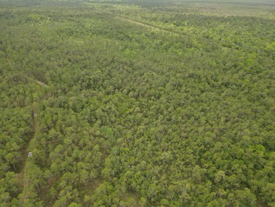 Remote, Quiet, Secluded and Convenient Hunting Land! Contiguous - photo 7