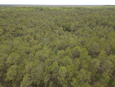 Remote, Quiet, Secluded and Convenient Hunting Land! Contiguous - photo 8