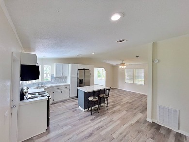 BEAUTIFULLY REMODELED HOME ON A SPACIOUS LOT! MOVE-IN READY! - photo 4