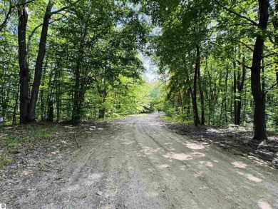 Lake Lot For Sale in Leroy, Michigan