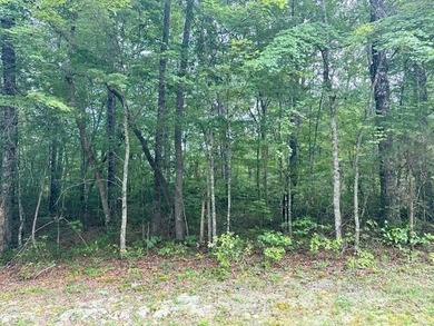 Cumberland Lakes Lot For Sale in Monterey Tennessee