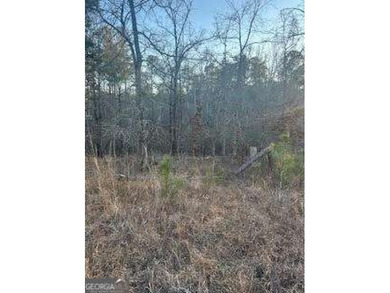 Lake Sinclair Lot For Sale in Sparta Georgia