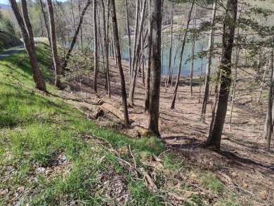 NEW LAKEFRONT LOTS!!! This 1.10 acre lot has approximately 99 LF - Lake Lot For Sale in Robbinsville, North Carolina