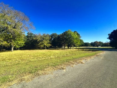 Off Water Lake lot with Hugh Shade Tree Canopy - photo 26