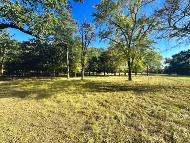 Off Water Lake lot with Hugh Shade Tree Canopy - photo 13