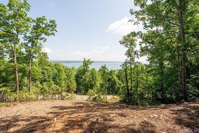 Build your dream lake retreat on this beautiful 14.5-acre - photo 11