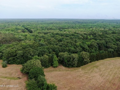 183+/- acres in northeast Tate County. A beautiful mixture of - photo 11