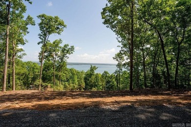 Build your dream lake retreat on this beautiful 14.5-acre - photo 12
