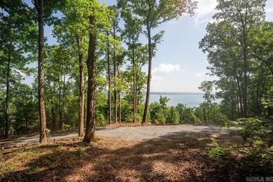 Build your dream lake retreat on this beautiful 14.5-acre - photo 13