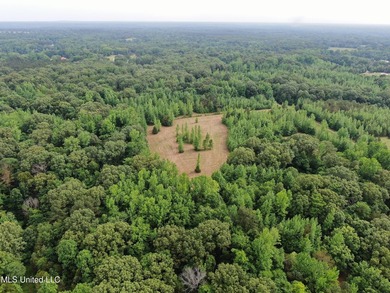 183+/- acres in northeast Tate County. A beautiful mixture of - photo 13