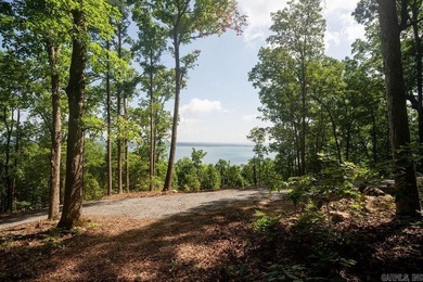 Build your dream lake retreat on this beautiful 14.5-acre - photo 14