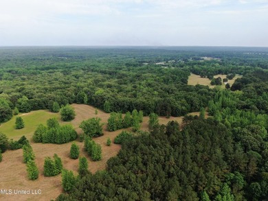 183+/- acres in northeast Tate County. A beautiful mixture of - photo 14