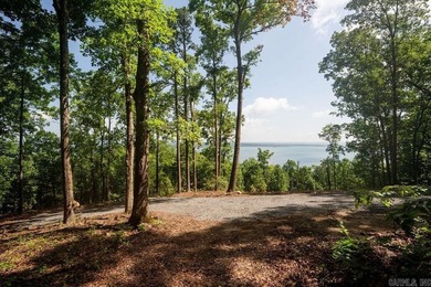 Build your dream lake retreat on this beautiful 14.5-acre - photo 15